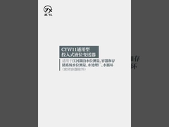 CYW11Y Οικουμενικός διαβιβαστής επιπέδου υγρού Περιοχή επιπέδου 0-0,5-50mH2O Για τη μέτρηση επιπέδου